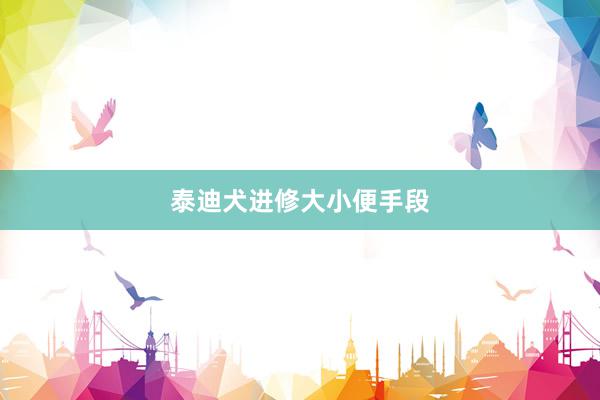 泰迪犬进修大小便手段